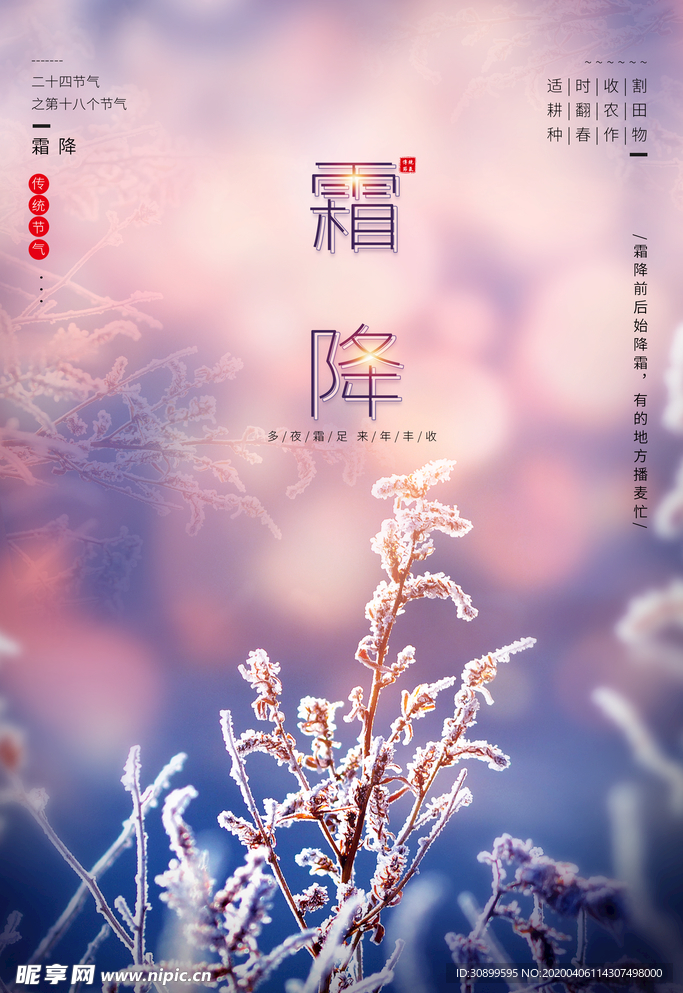 24节气霜降宣传海报