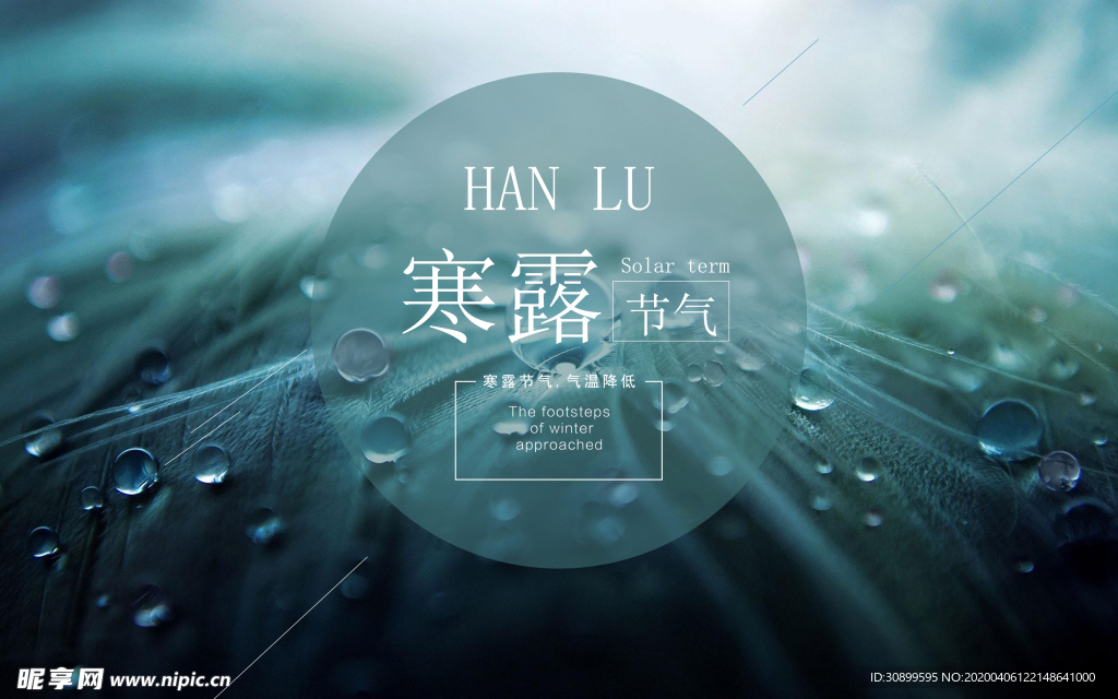 24节气寒露宣传图片