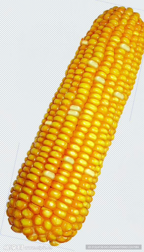 花白玉米分层素材