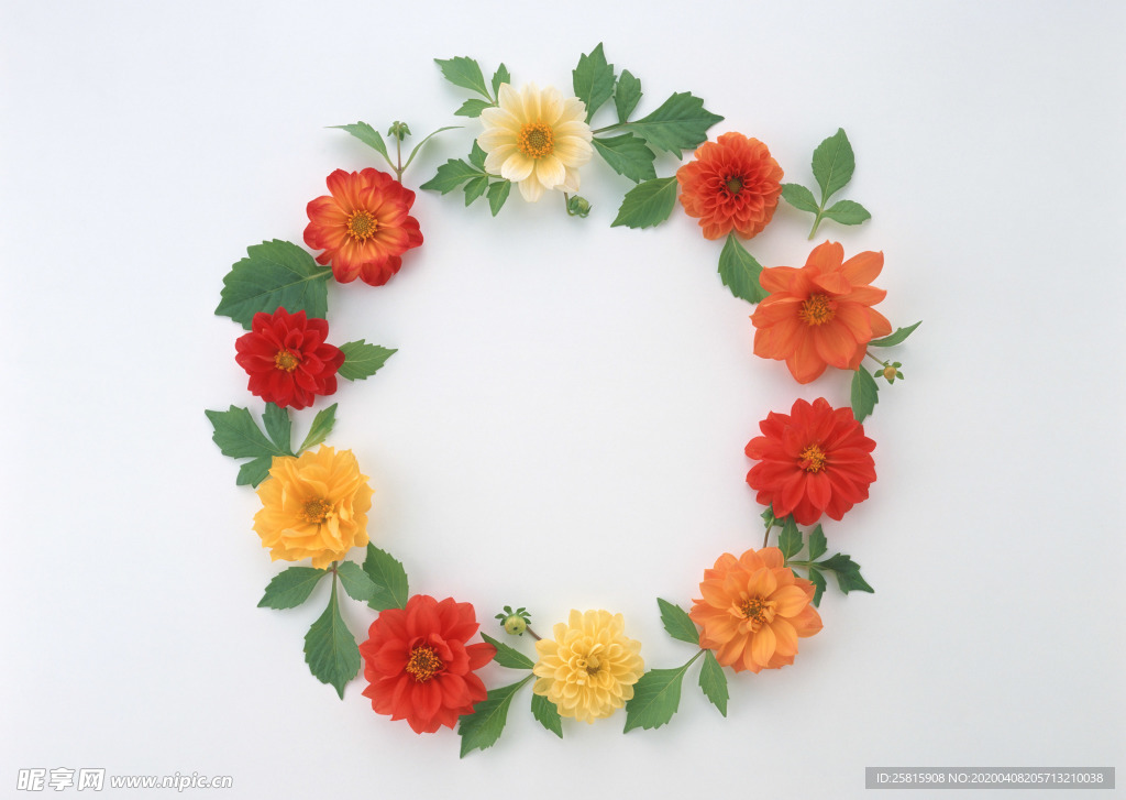 花环花篮花框唯美图片