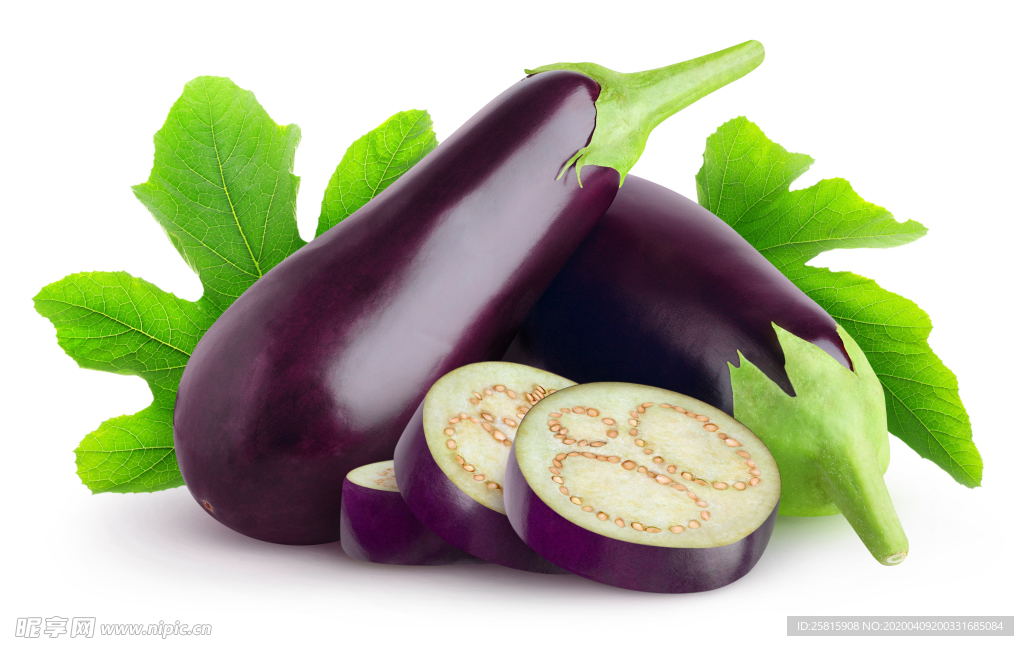 茄子圆茄长茄矮茄茄科图片