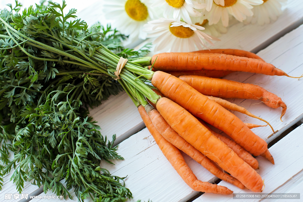 胡萝卜红萝卜切片图片