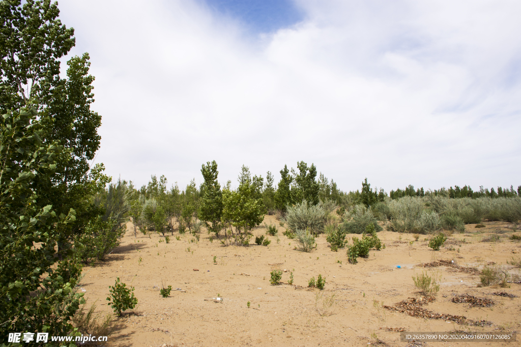 库布其沙漠草原