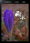 雨水海报