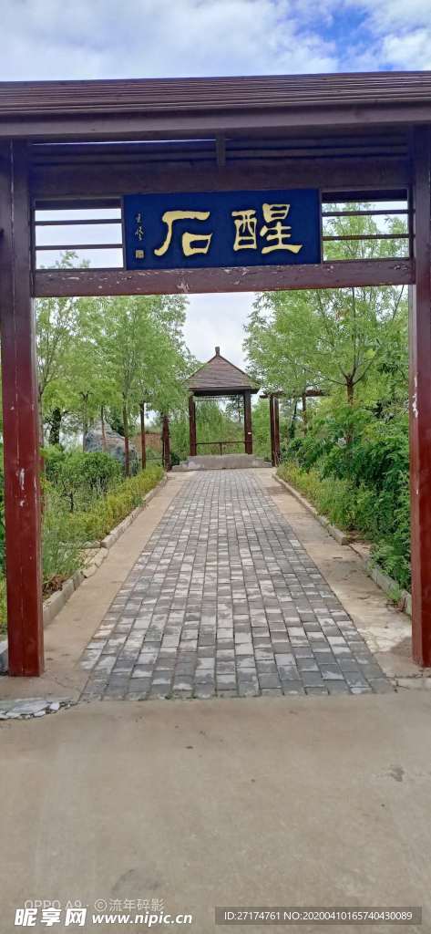 麦地 阴天 高山 山丘 草地