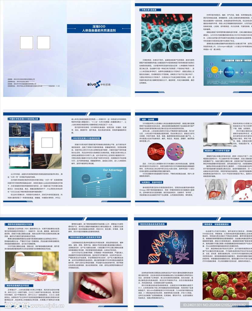 科技画册   生物画册