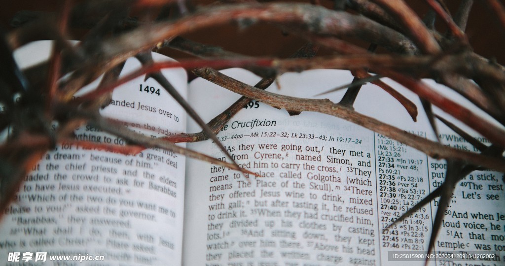 阅读看书生活图片