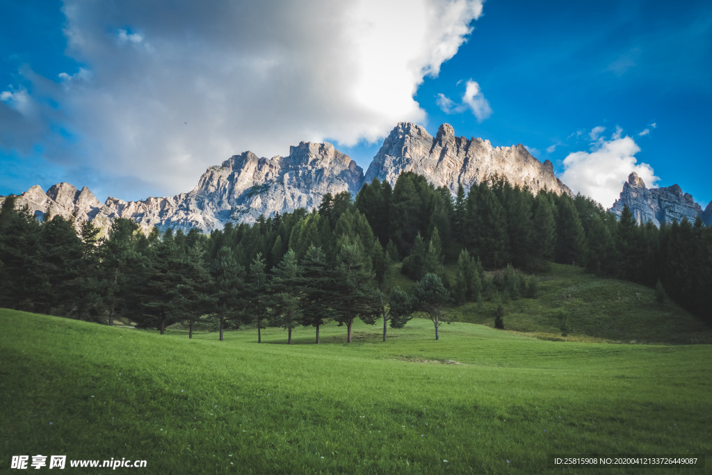 田园田野绿色原野图片