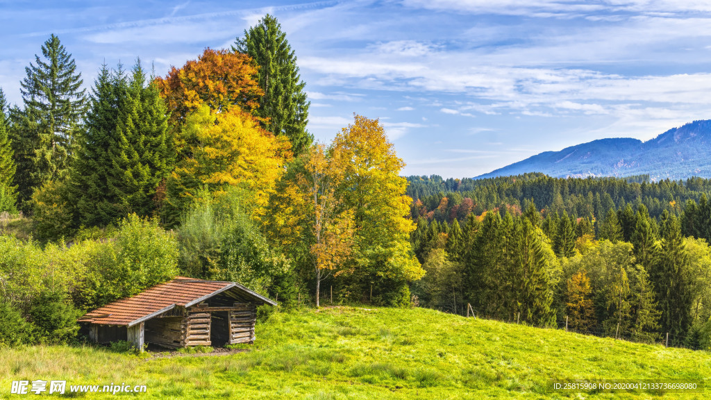 田园田野绿色原野图片