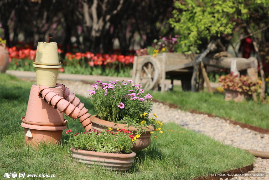 春天  花开  百花齐放  公