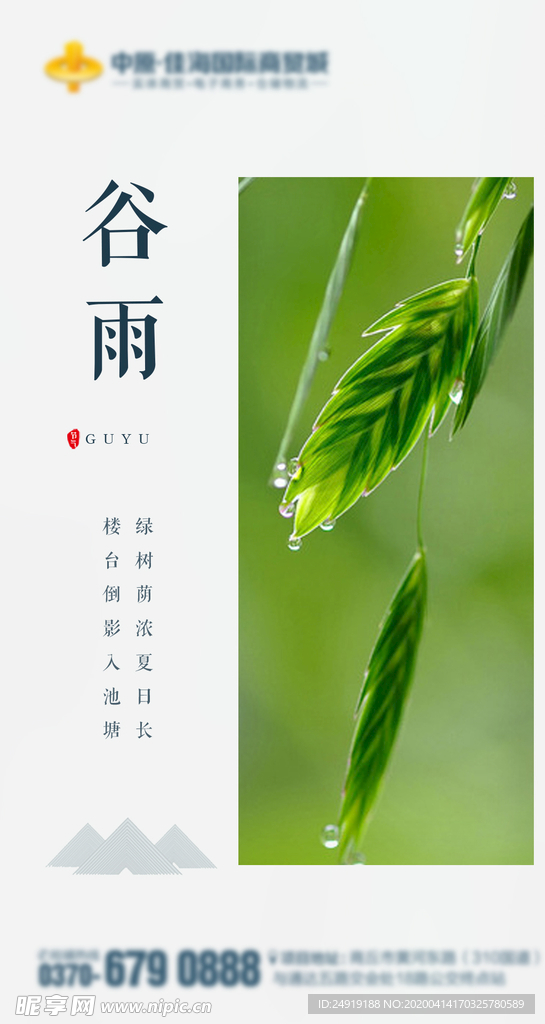 谷雨 二十四节气 24节气