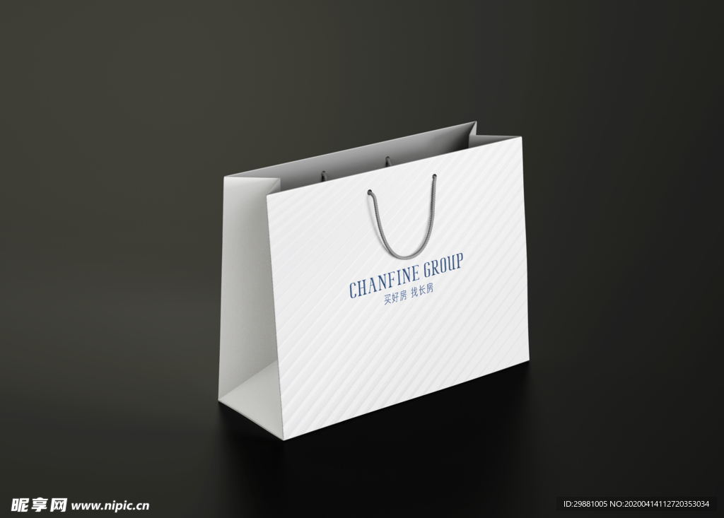 手提袋样机