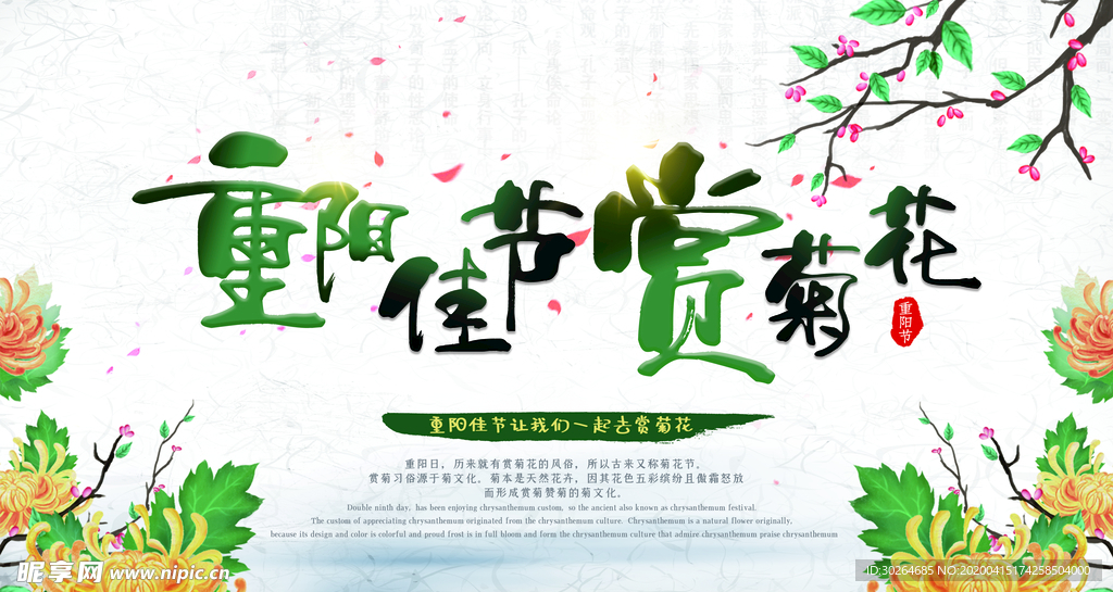 重阳佳节赏菊花展板