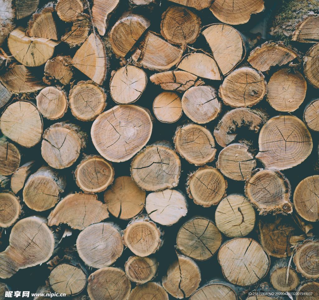 木材木头截面图片