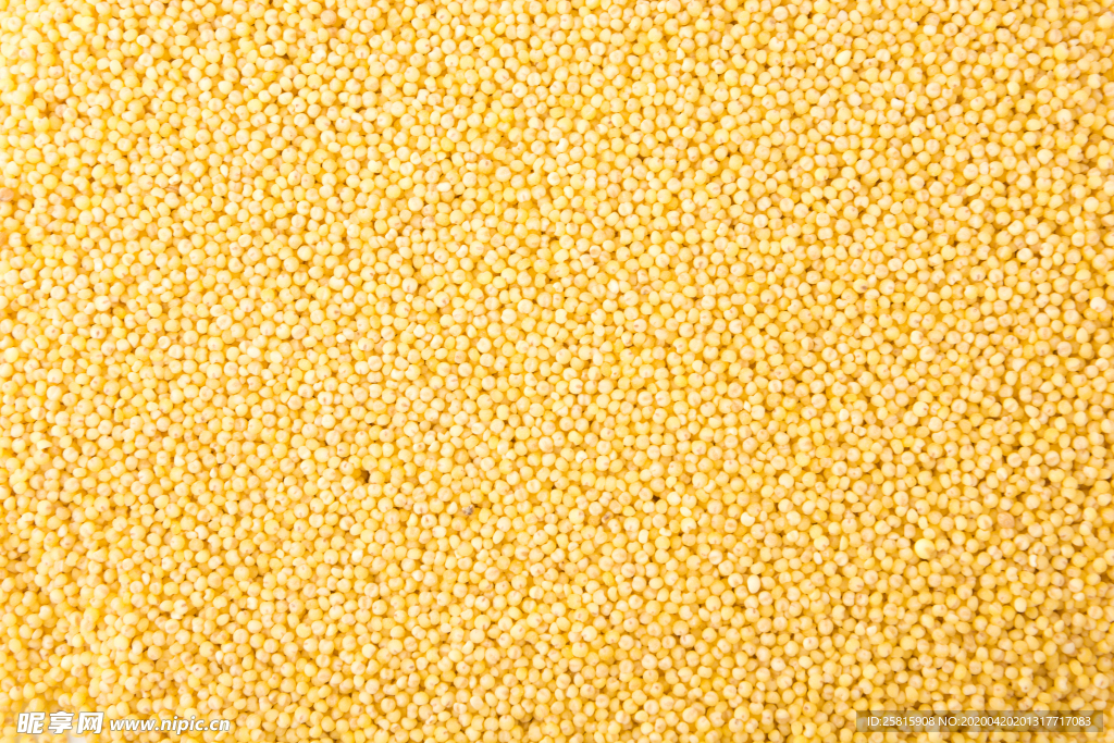 小米五谷杂粮图片