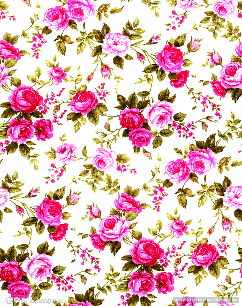 玫瑰牡丹高清扫描版