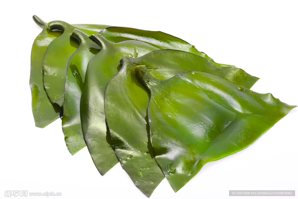 海带丝海带片海带卷图片