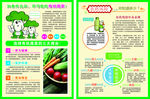 有机蔬菜彩页
