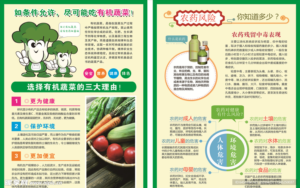 有机蔬菜彩页