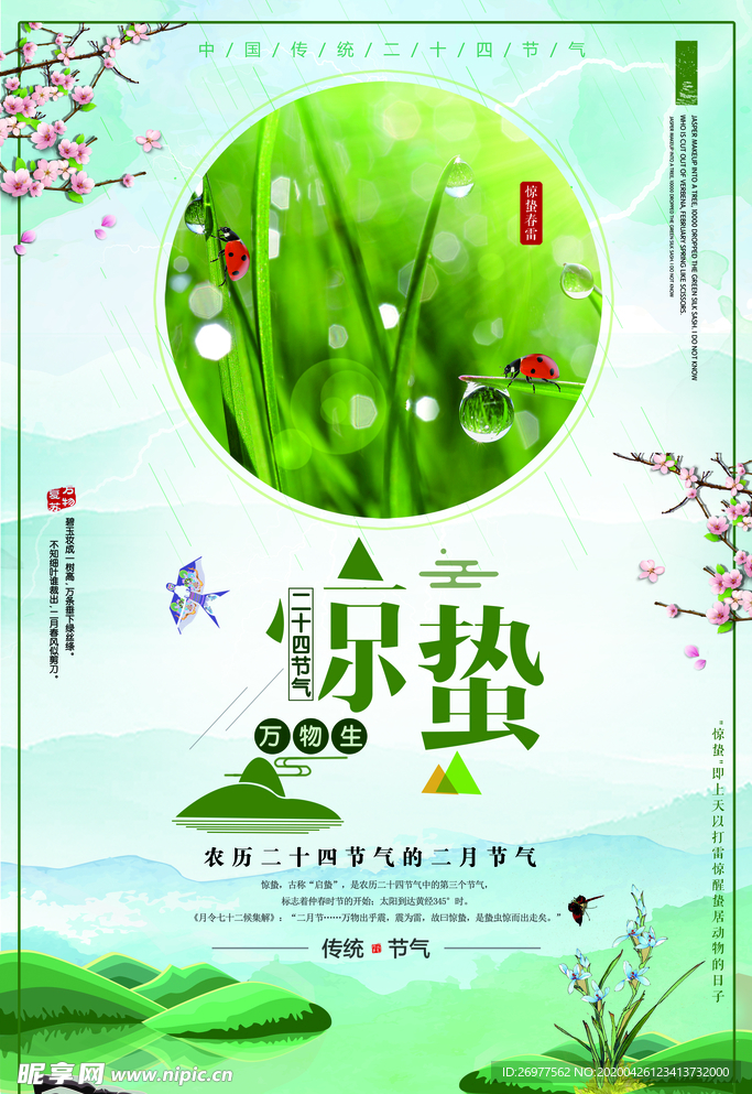 简约插画惊蛰二十四节气海报