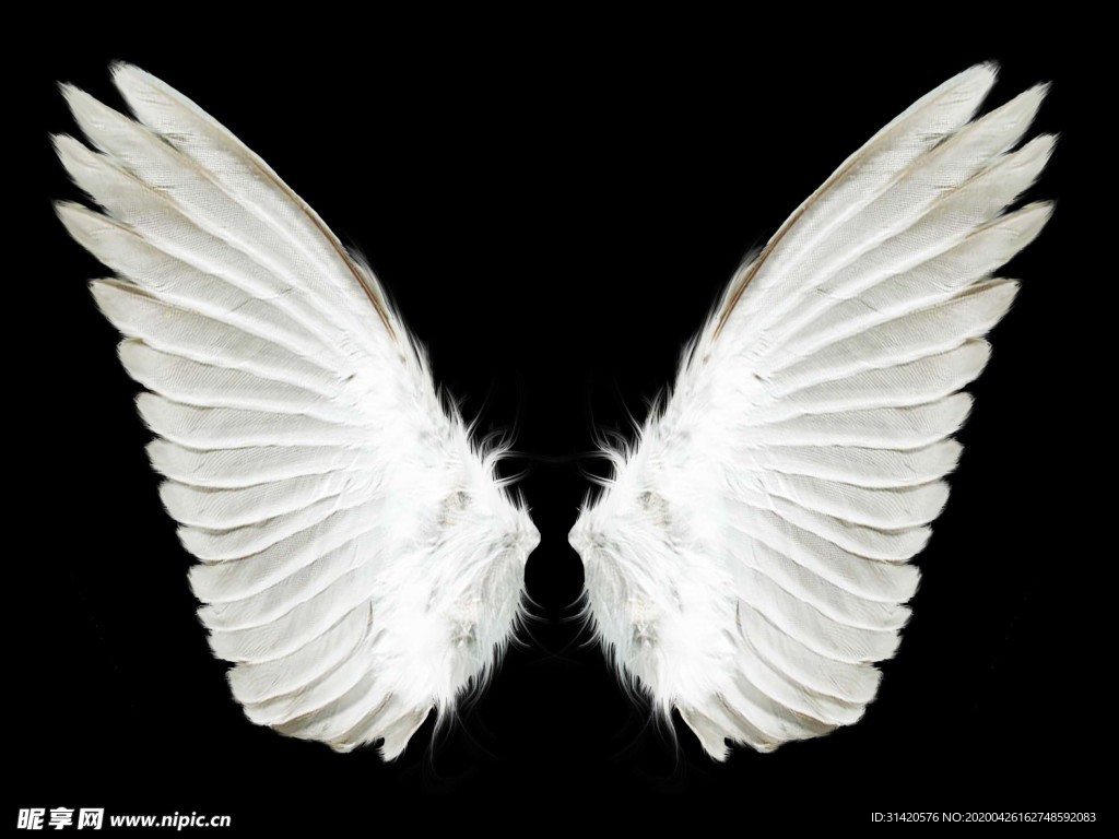 天使翅膀