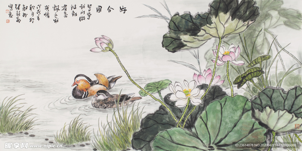 国画花鸟写意高清大图