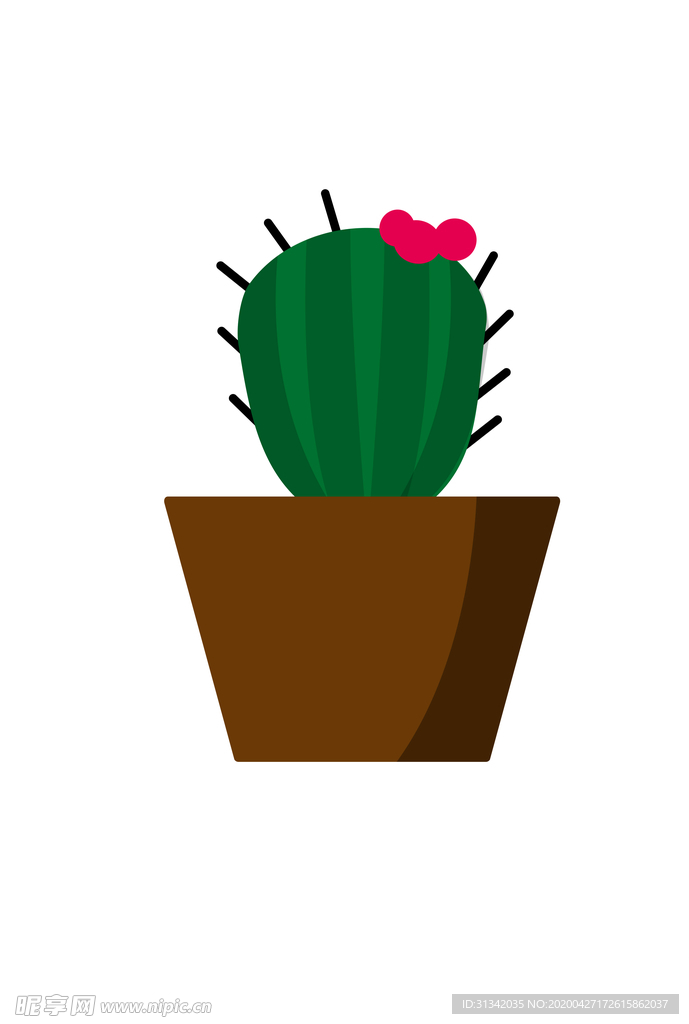 绿植盆栽仙人球