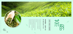 浅绿色清新春茶节茶叶海报