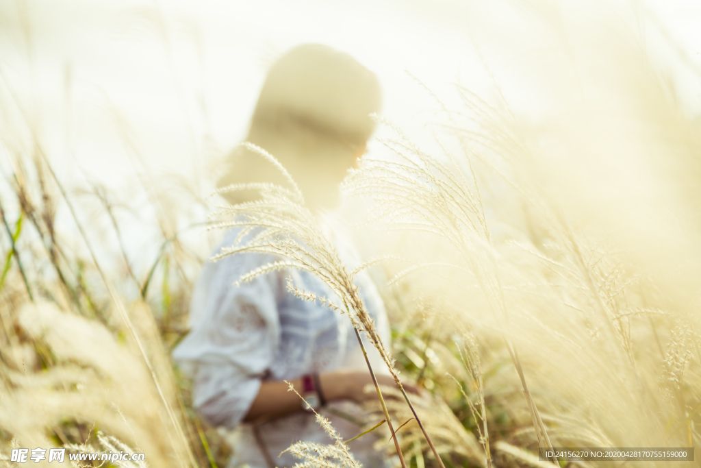 文艺小清新芦苇意境女孩