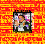 大牌花型 嘻哈 潮牌 字母