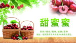 樱桃彩页  樱桃标签  采摘