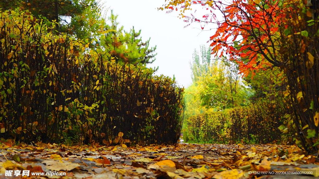 秋之韵----呼和浩特