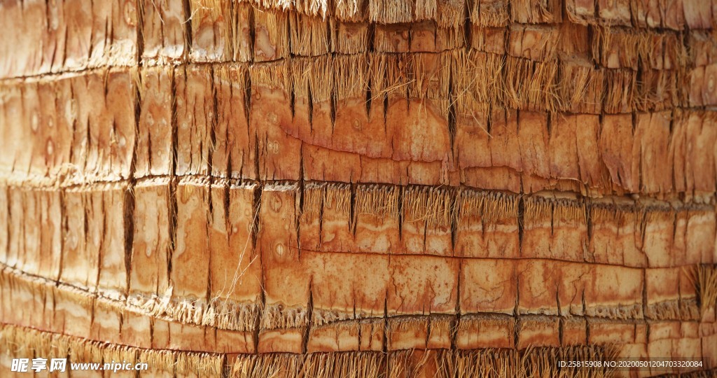 草堆谷堆捆绑图片