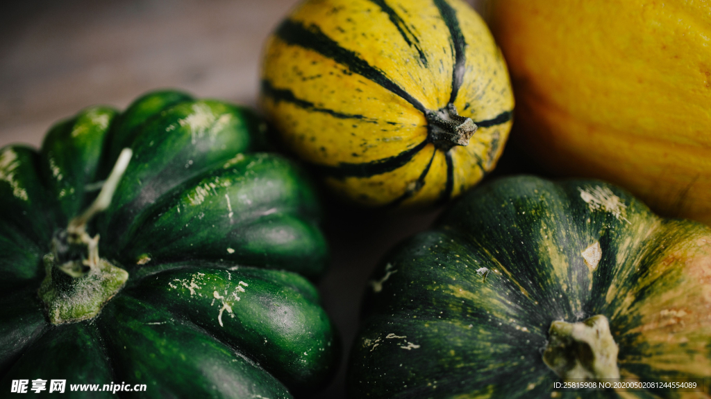 南瓜拍摄图片