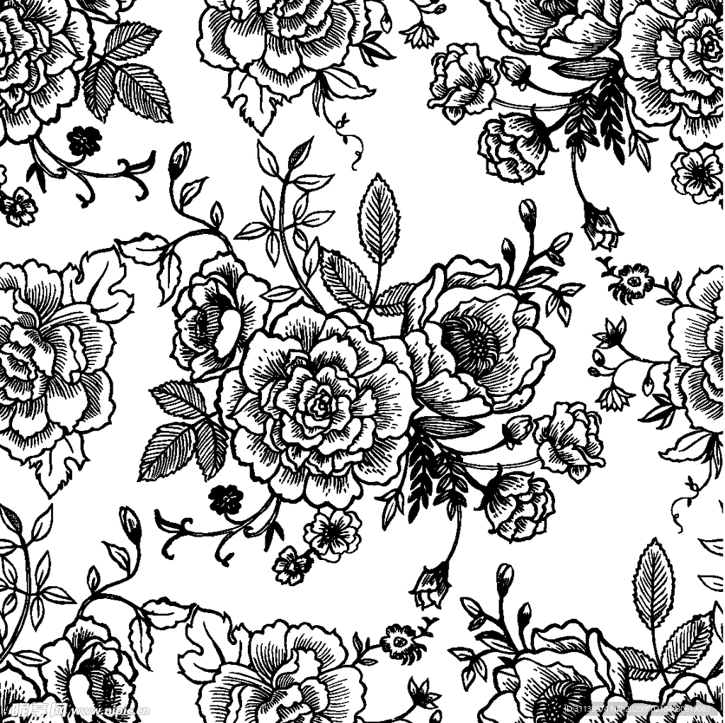 黑白线条花