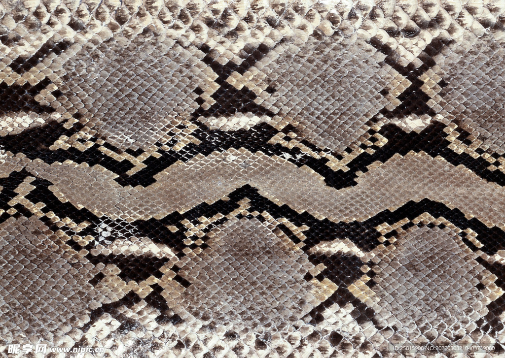 皮革纹理素材图片