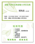绿色名片