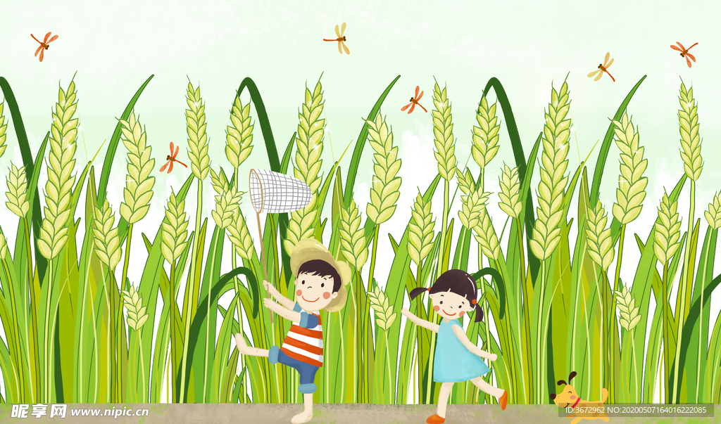 抓蜻蜓小满节气插画