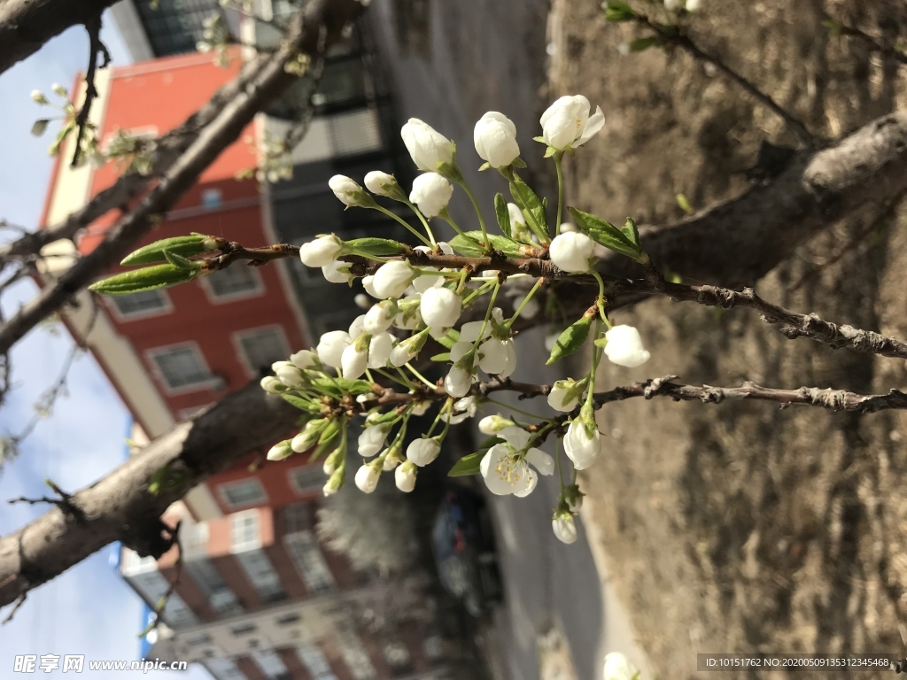 卡通人物   动漫人物