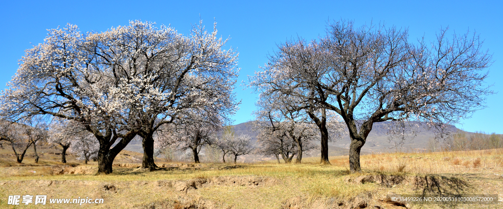 大同市新荣区助马堡