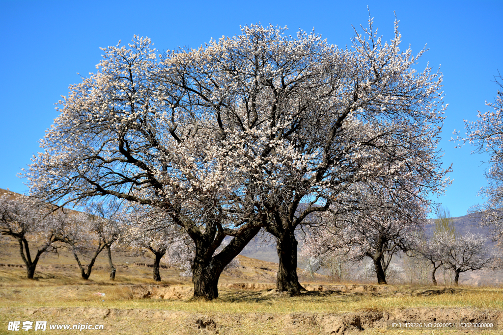 大同市新荣区助马堡