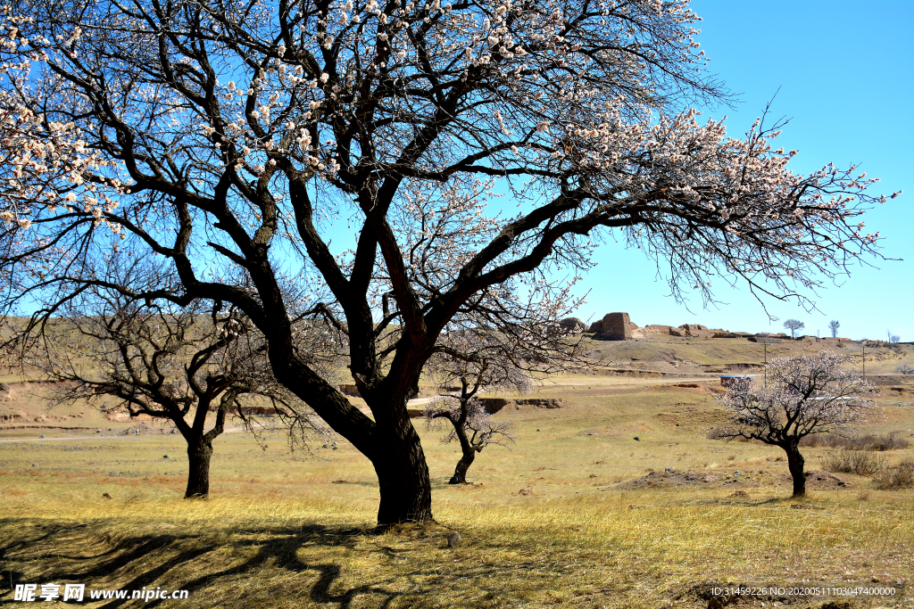 大同市新荣区助马堡