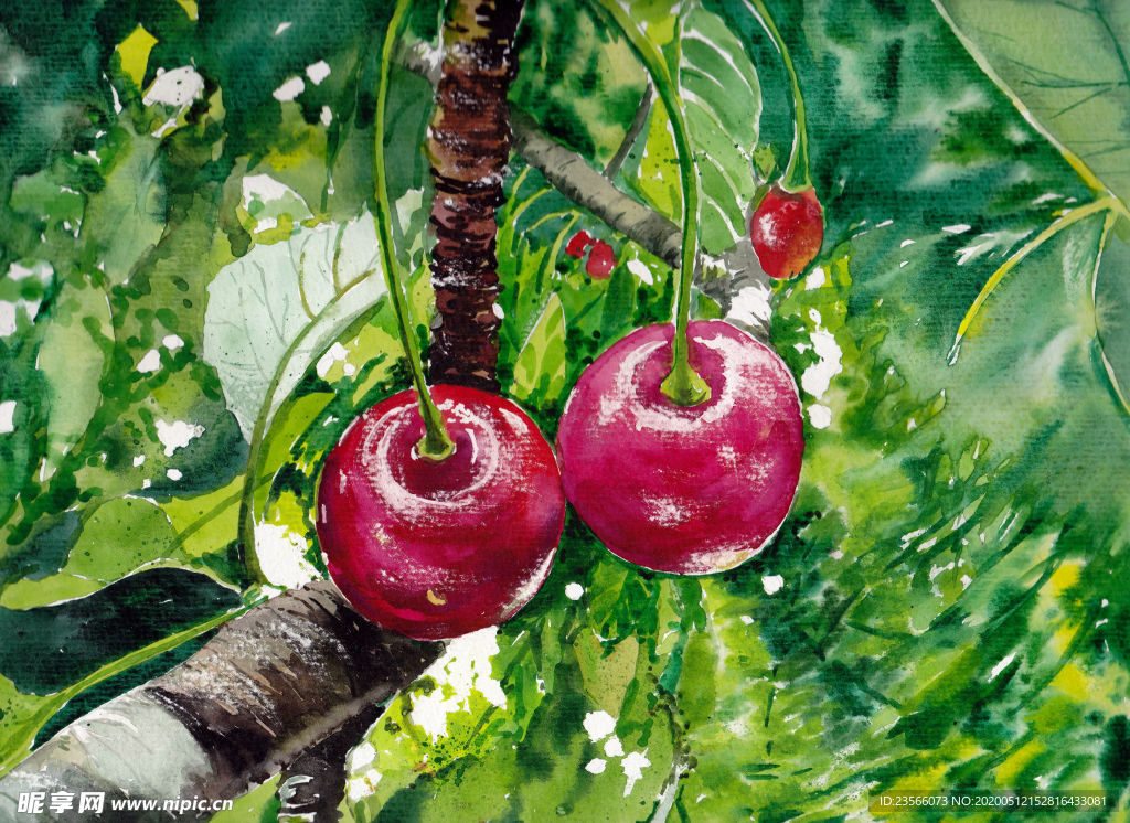 花朵植物田园风油画