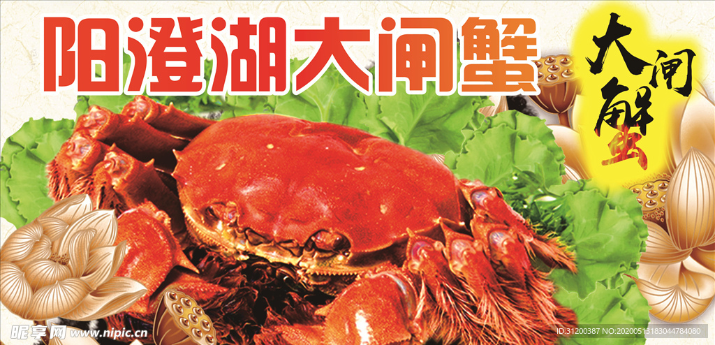 阳澄湖大闸蟹