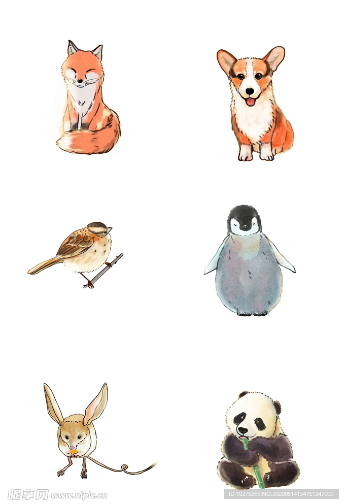 手绘水彩绘本卡通动物