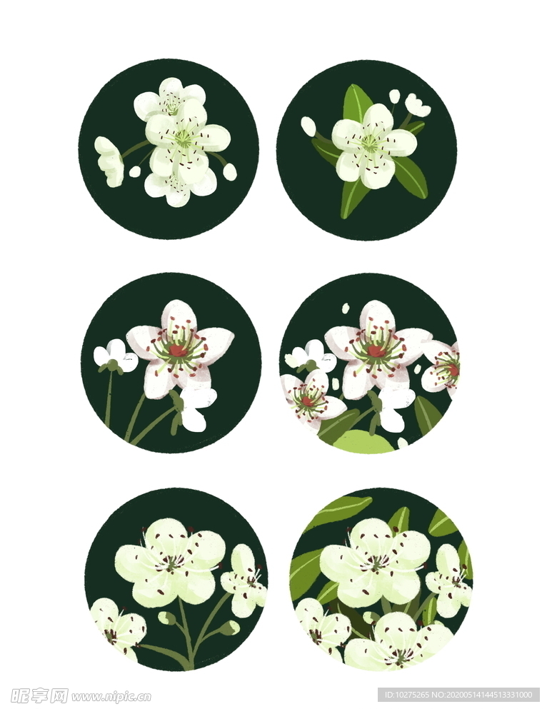 春天花朵梨花元素