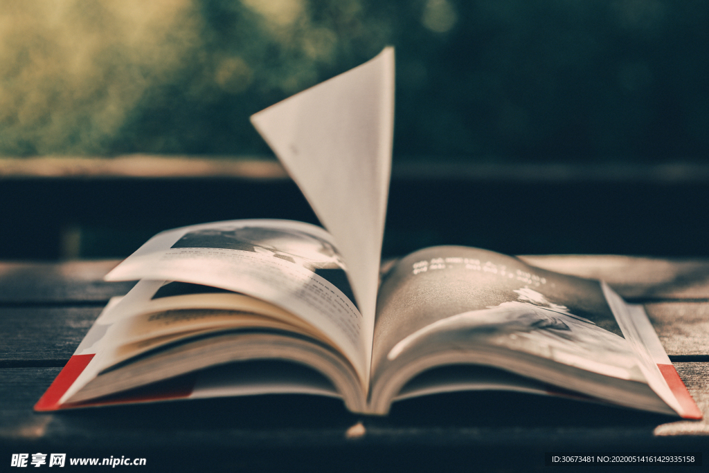 公园里读书翻开的书本