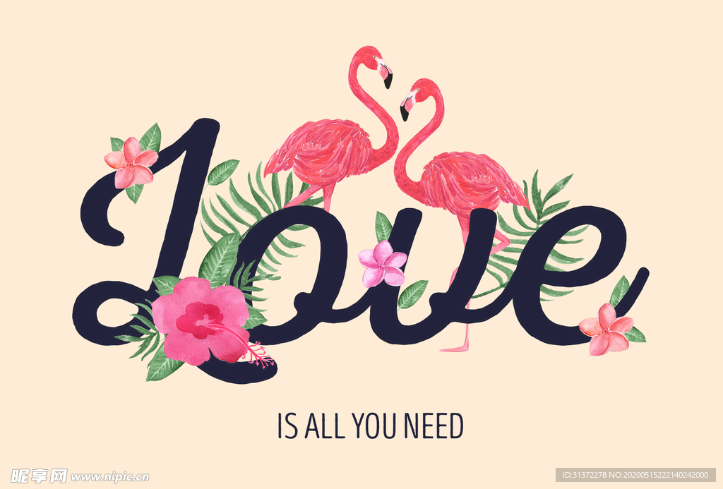 手绘火烈鸟图片