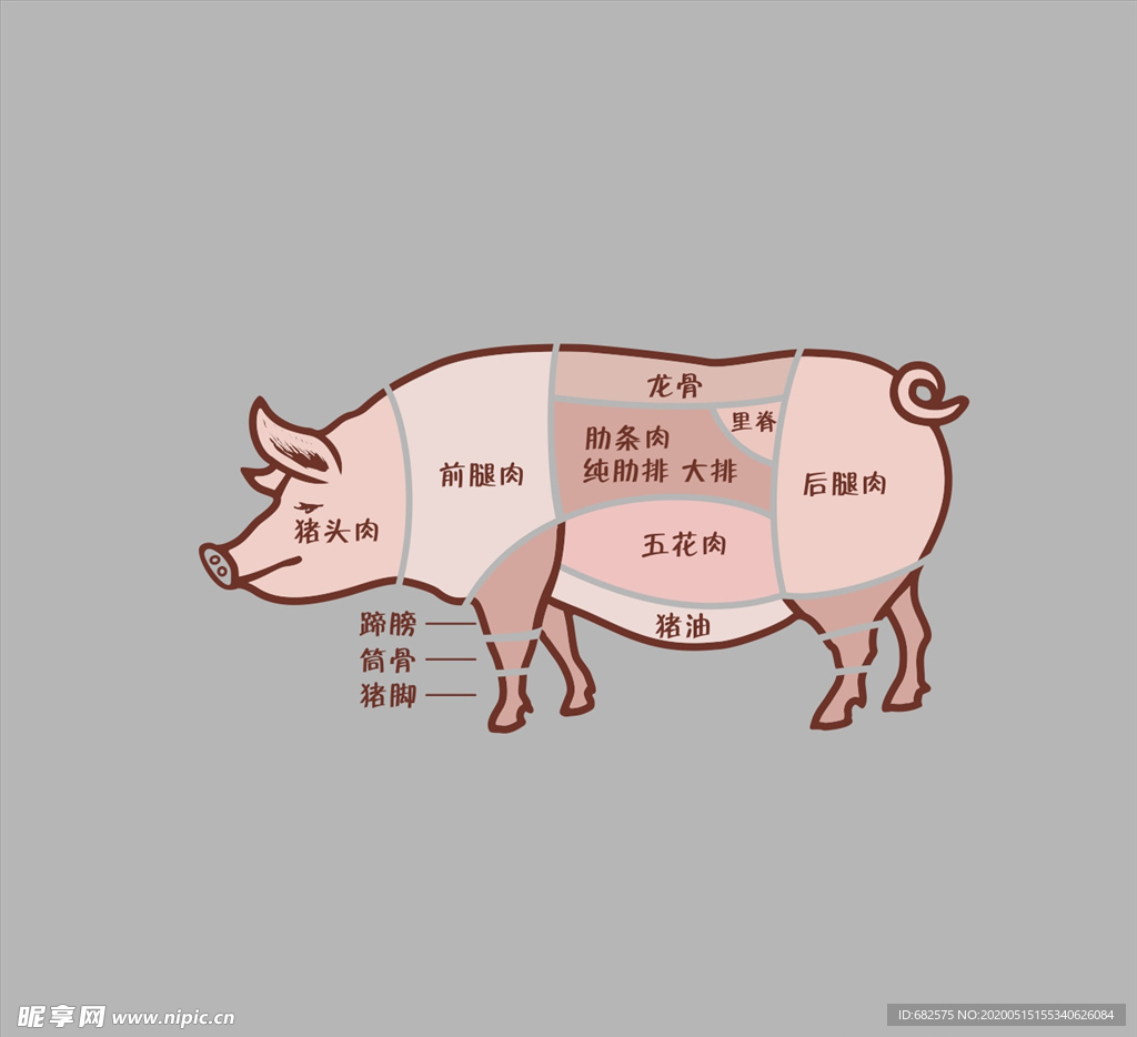 猪肉分割图