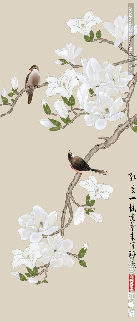 白色花鸟